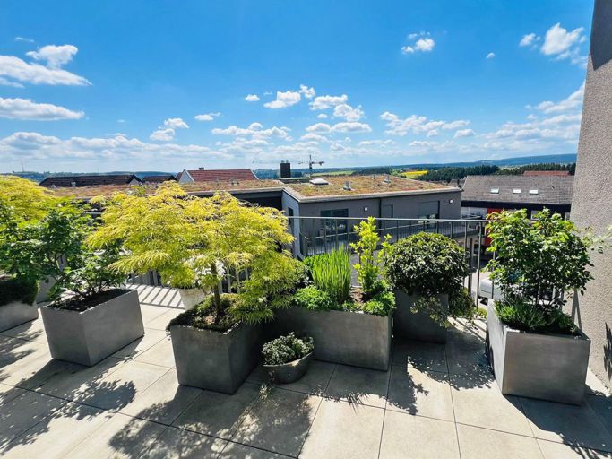 Geiger's Gartenstunde