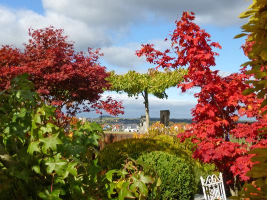 Oktober: Die Hauptpflanzzeit für Gartenpflanzen