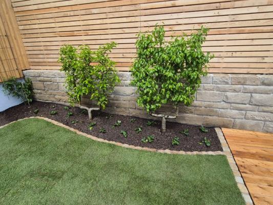 Ein kleiner Garten für die Familie