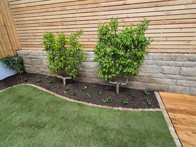 Ein kleiner Garten für die Familie