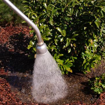 Wässern von Gehölze  im April