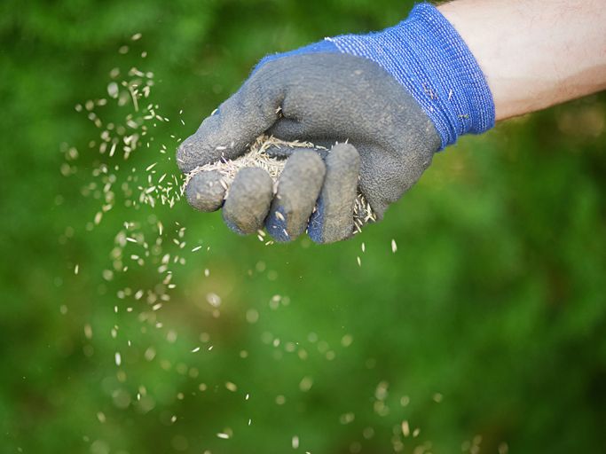 Neue Kraft für den Garten