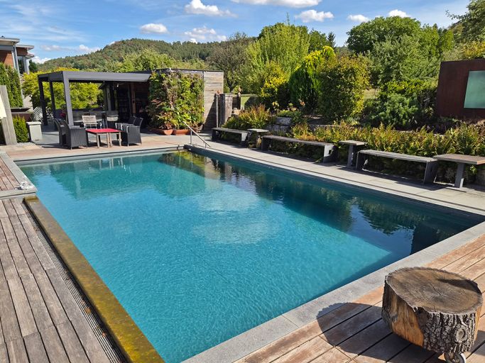 Pool- und Teichreinigung im Herbst