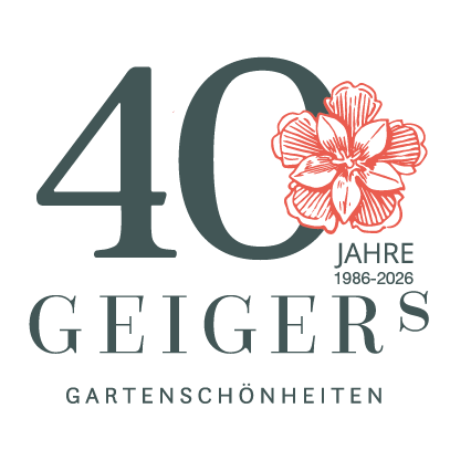 40-jähriges Jubiläum -Logo