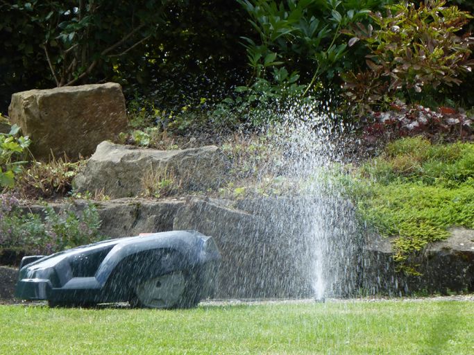 Den Grundstein für ein gelungenes Gartenjahr legen