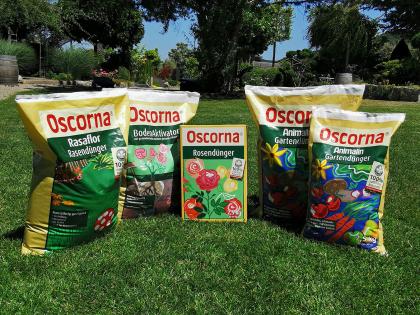 Feuerschale TROJA von gartenmetall