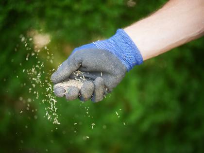 gartenmetall Feuerkorb