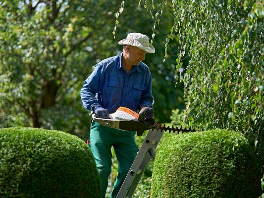 Gartenpflege im Oktober: Rückschnitt, Dünger & Teichpflege