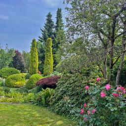 Pflanzungen und Rasen