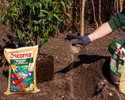 Oscorna Dünger