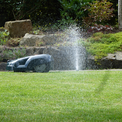 Pflanzenschutzmassnahmen