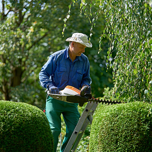 Schnitt-und-Rodungsarbeiten