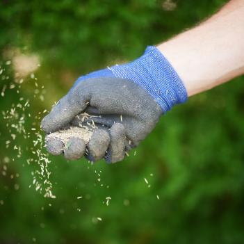 Geiger's Gartenschönheiten Rasen