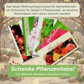 Geiger's Gutschein in Geiger's Pflanzenwelt erhältlich