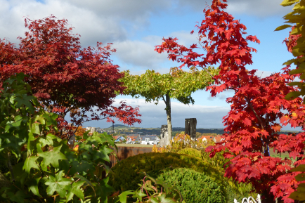 Oktober: Die Hauptpflanzzeit für gesunde Gartenpflanzen 
