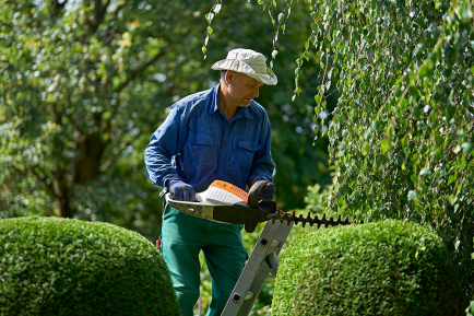 Gartenpflege im Oktober: Rückschnitt, Dünger & Teichpflege