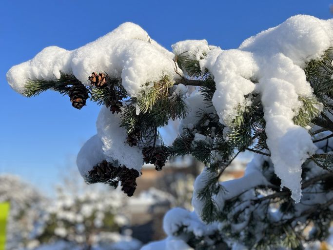 Betriebsferien bei Geiger&#039;s im Dezember/Januar