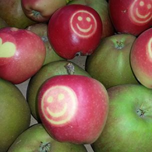 Apfel- und Mostfest des Obst- und Gartenbauvereins Kiebingen e. V. 