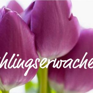 Frühlingserwachen in Geiger&#039;s Pflanzenwelt