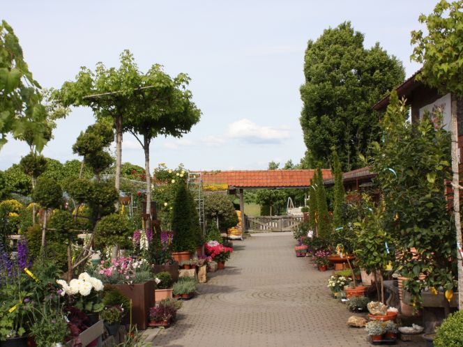 Geiger S Gartengestaltung Pflanzenwelt