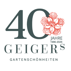 Laden Sie die externen Inhalte um den Newsletter vollständig angezeigt zu bekommen