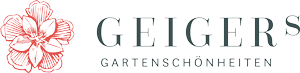 Laden Sie die externen Inhalte um den Newsletter vollständig angezeigt zu bekommen